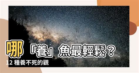 那種魚最好養|【那種魚最好養】哪「養」魚最輕鬆？12 種養不死的觀賞魚，新。